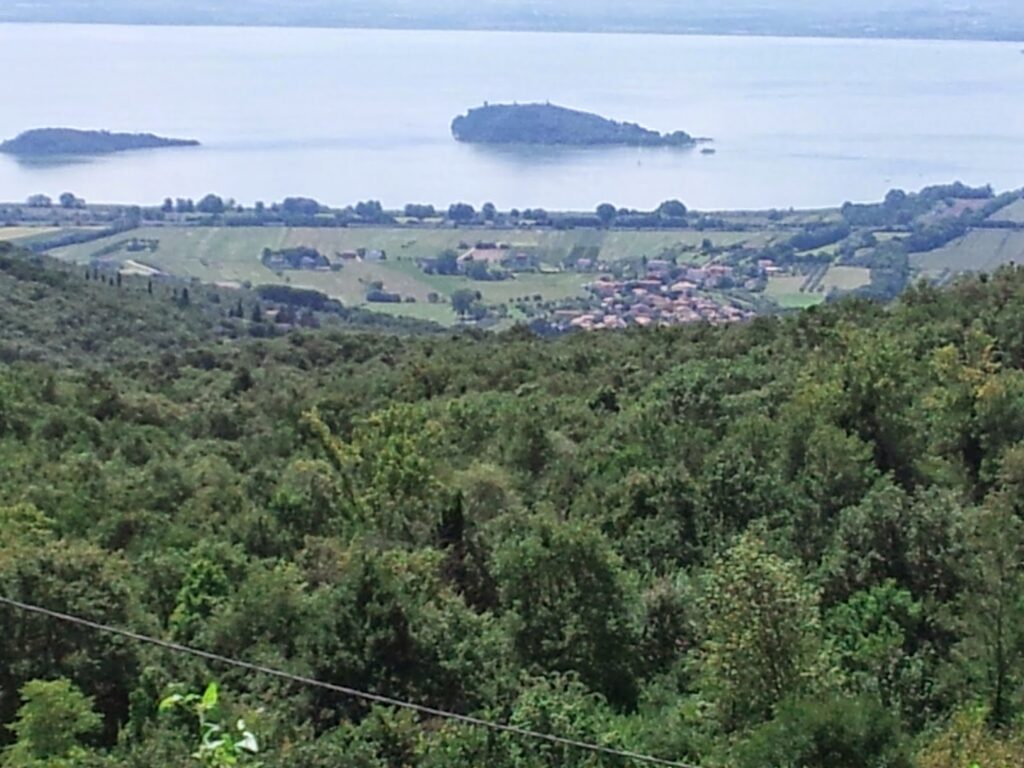 A great view of the shoreline looking from the hills to the north of it. 