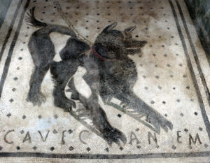 cave canem mosaic